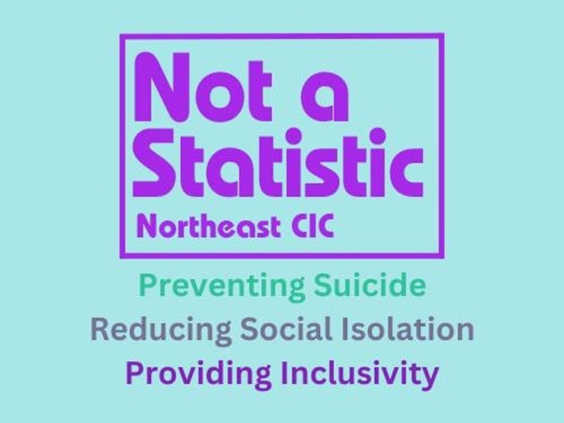 Not A Statistic North East